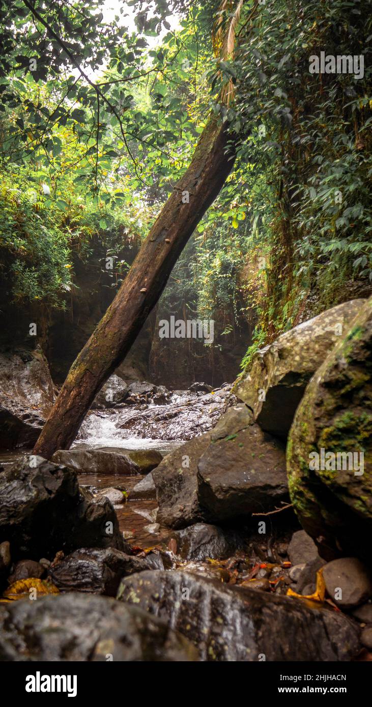 Landscape of mountain view when spring season, Indonesia. the photos is