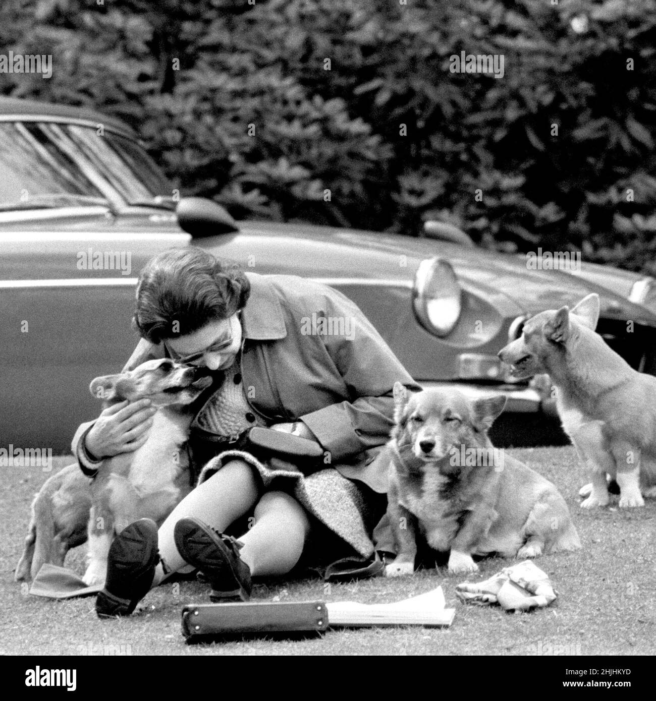 Lg Photo Picture Queen Elizabeth II With Corgi Dogs Royal Windsor Horse Show 