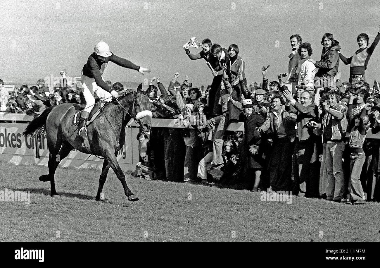 1977: File photo dated April 1977 as Red Rum, ridden by Tommy Stack, romps home at Aintree to make National Hunt history as winner of the Grand National Steeplechase for a record third time. Issue date: Sunday January 30, 2022. Stock Photo