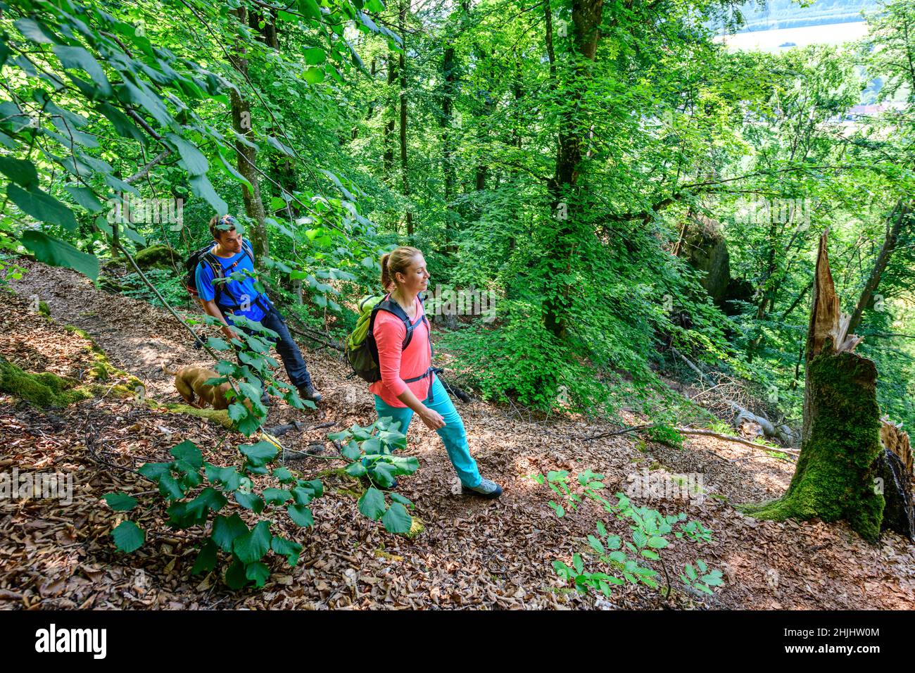 Couple hikers doing trekking hi-res stock photography and images - Alamy