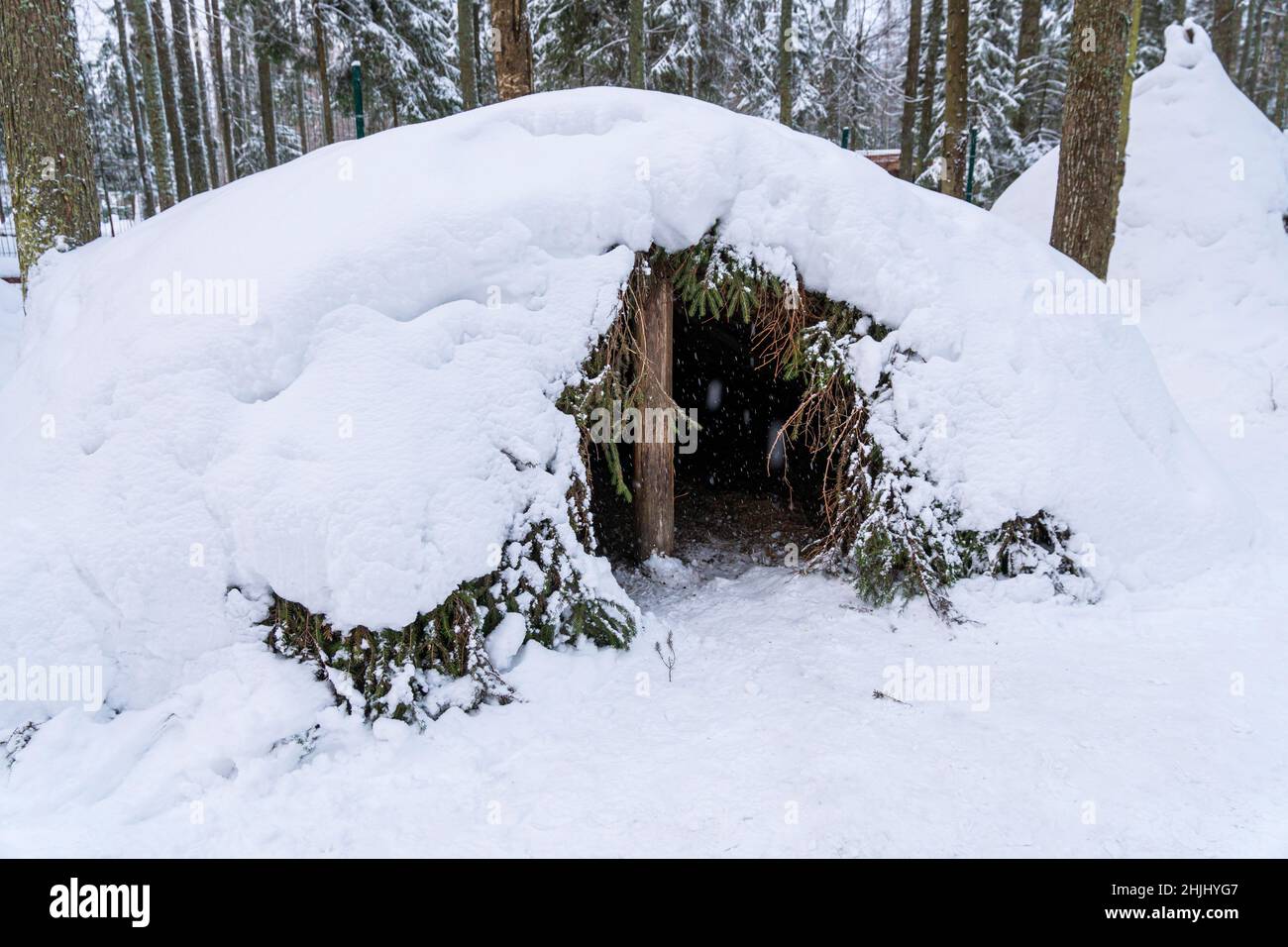 a disguised shelter in the forest under the snow. Partisan dugout in winter forest. Earth-house built by Soviet partisans in Ukrainian forest during S Stock Photo