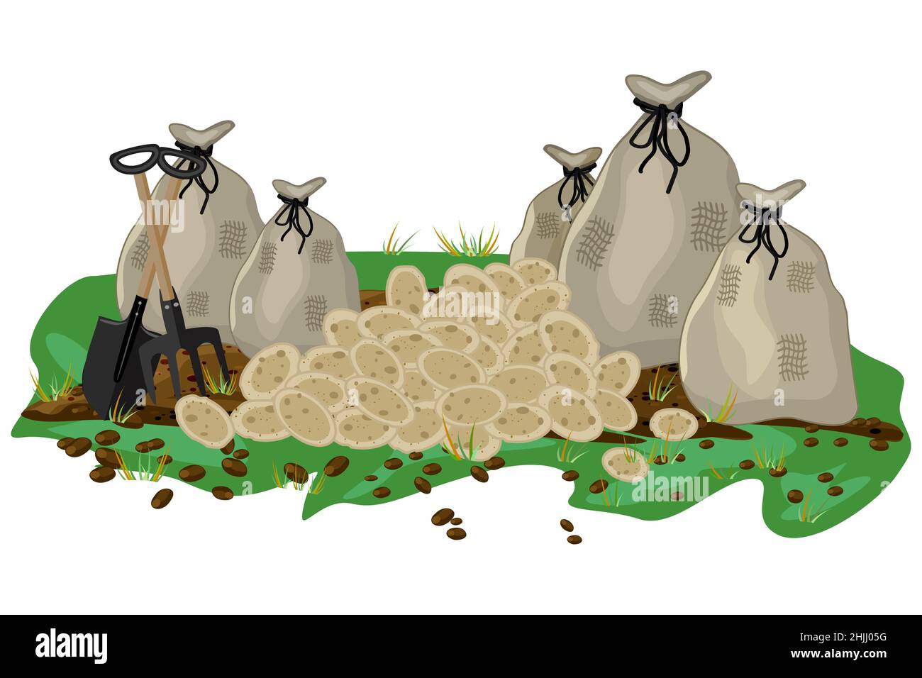 Pile of potato and bags with potatoes. Harvested root crops.Potato tubers,sacks,shovel and pitchfork.Gardening,farming,agriculture and harvest concept Stock Vector