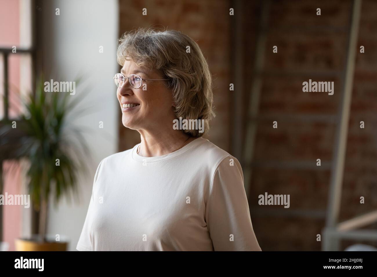 Happy senior 60s grey haired lady in glasses looking away Stock Photo