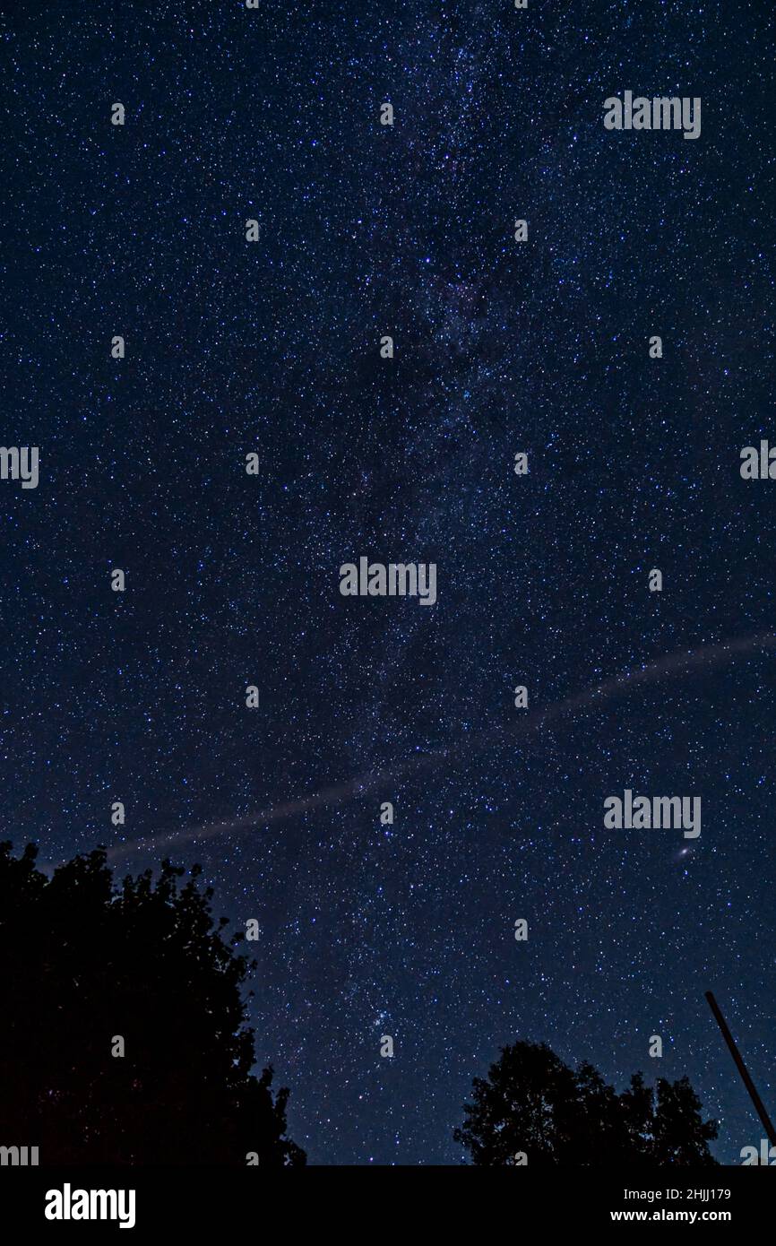 Vertical shot of a forest at starry night Stock Photo - Alamy