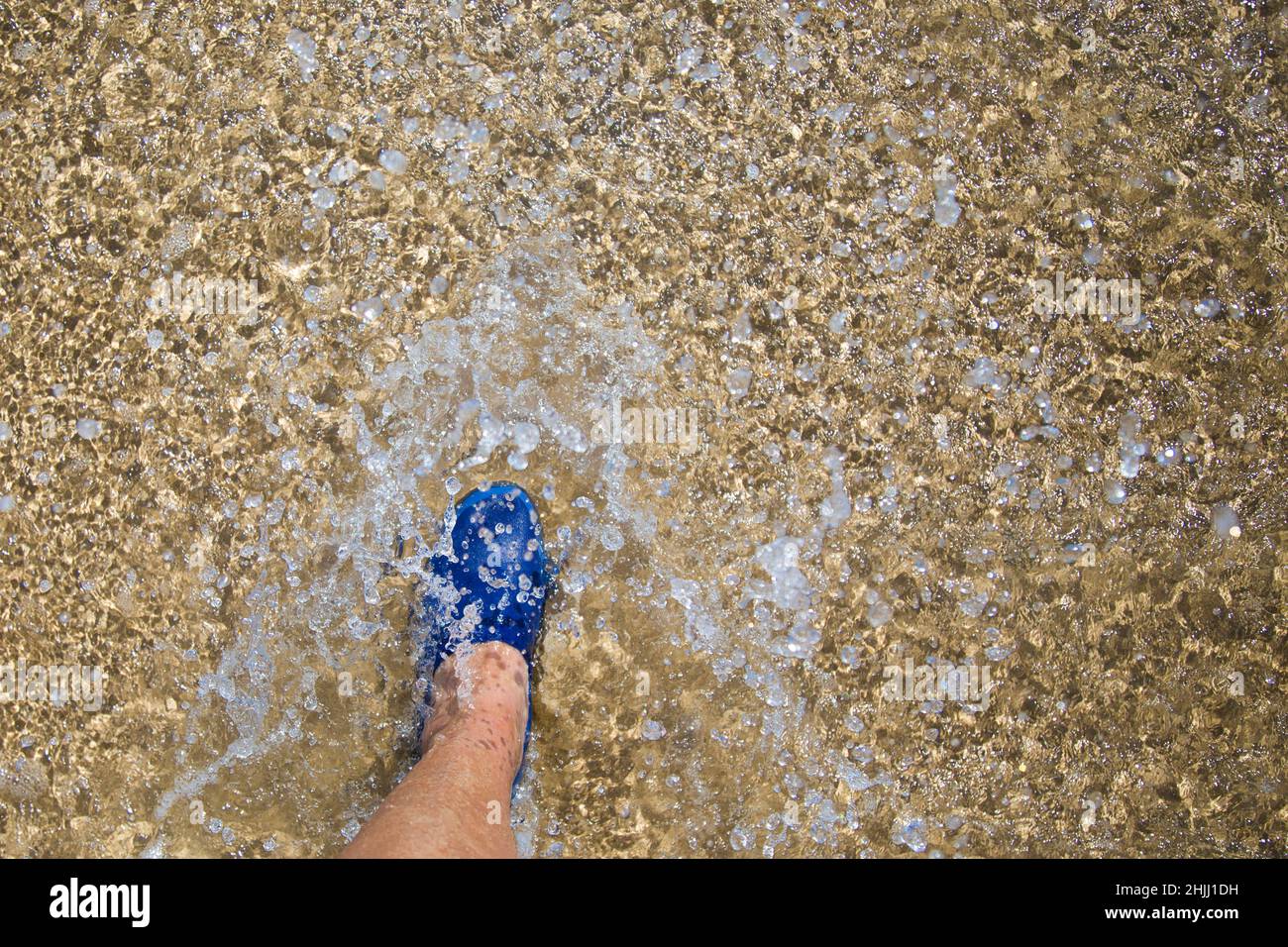 Walking in water on the beach. Stock Photo