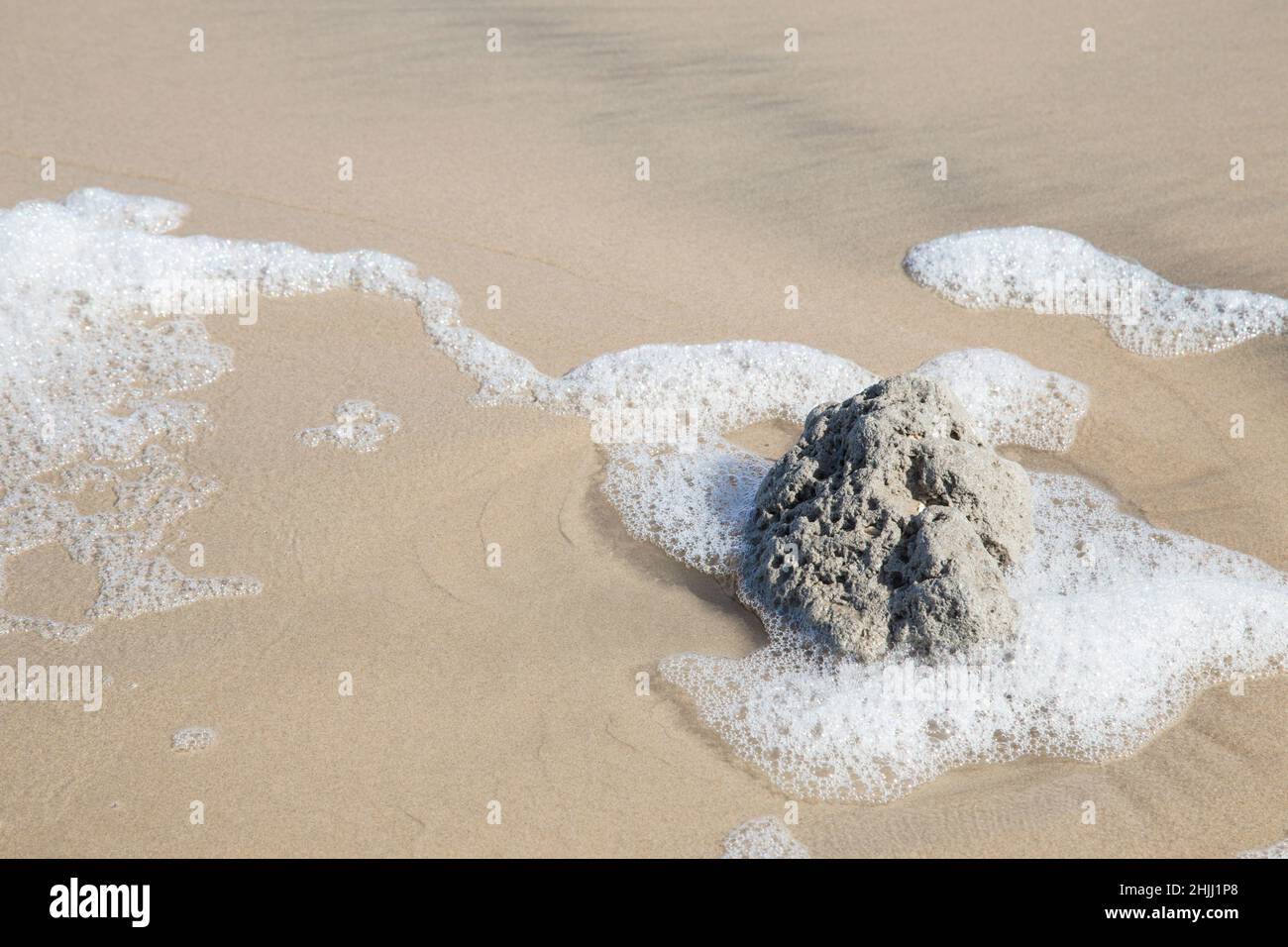 Sea Foam wropped around a rock on the beach. Stock Photo
