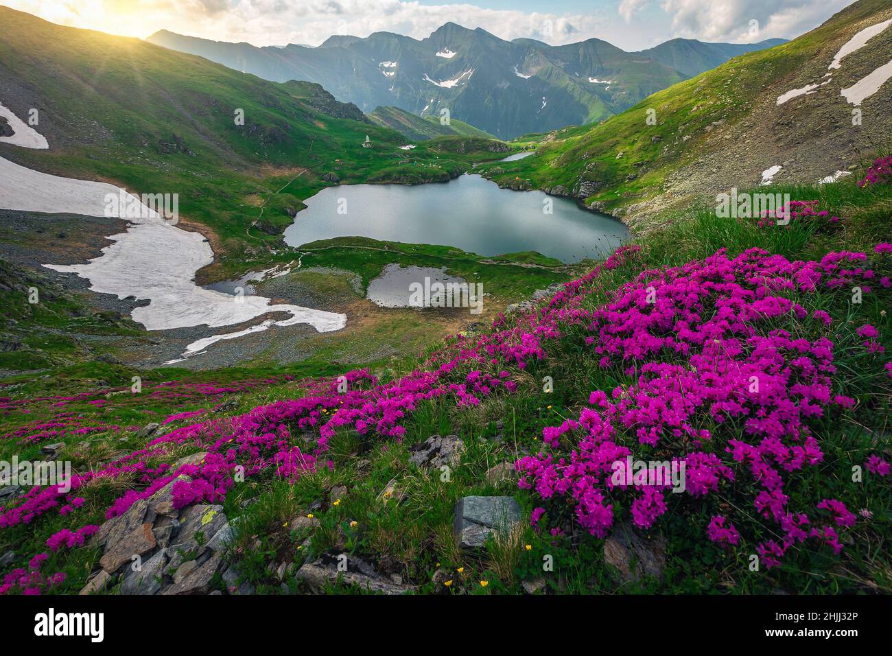 One of the most beautiful nature scenery at early summer. Stunning view with lake Capra and blooming rhododendron flowers on the hills, Fagaras mounta Stock Photo
