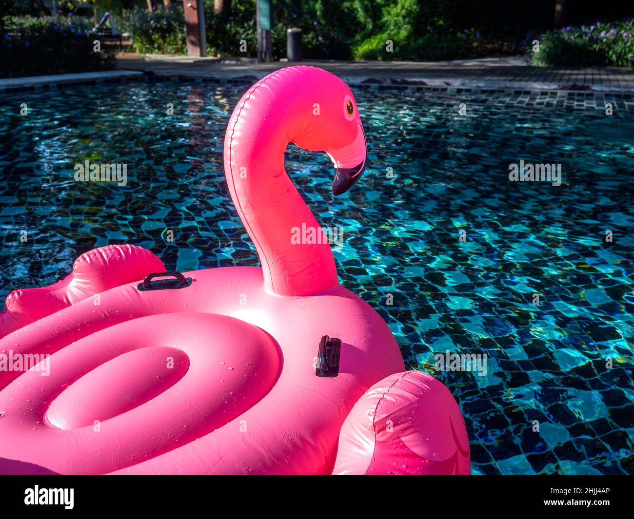 Empty seating space on the pink inflatable ring, flamingo in the swimming pool with copy space. Flamingo swim ring for summer vacation. Stock Photo