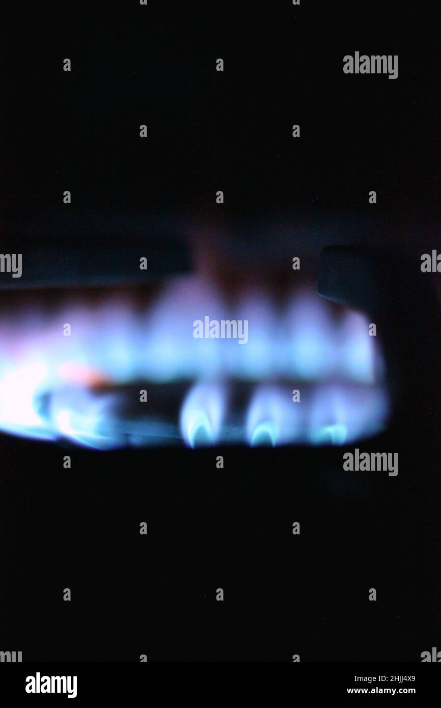 Blue flame on the gas stove burner Stock Photo Alamy