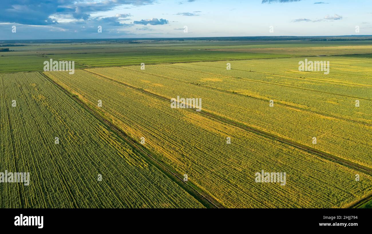 Mascow Rural Aerial shot rural farmland fields hi-res stock photography and images ...