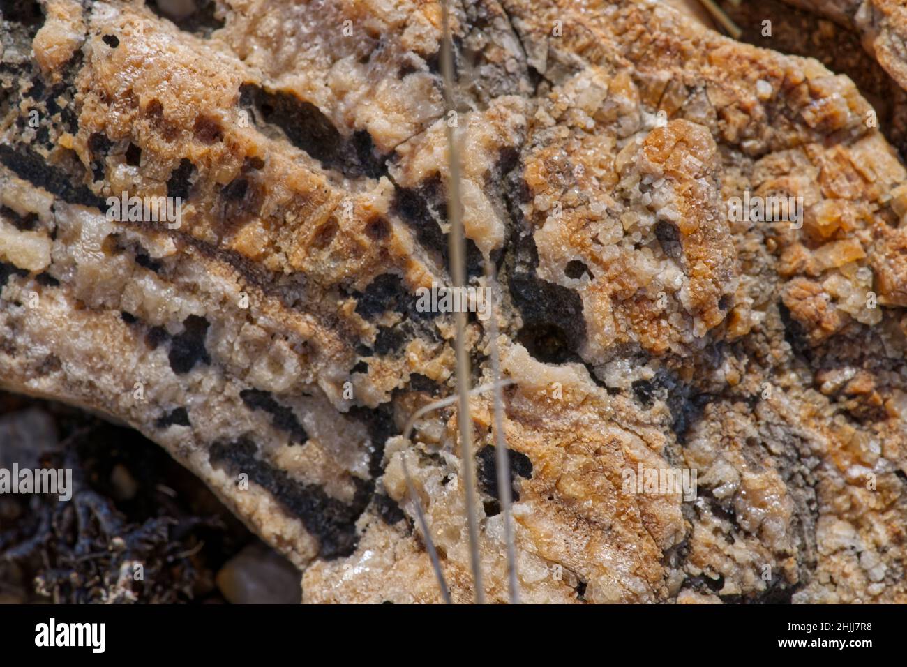 Closeup shot of granite stone with beautiful layers Stock Photo Alamy