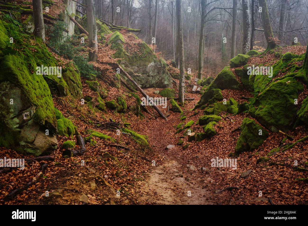 Rock formations in the Devil's Gorge in the Eifel Nature Park near Irrel, Germany. Stock Photo