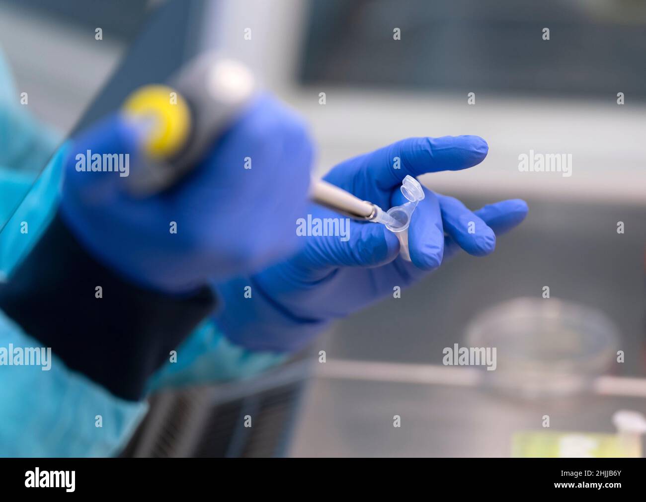 Close up of a scientist using pipette to drop liquid into an Eppendorf tube Stock Photo