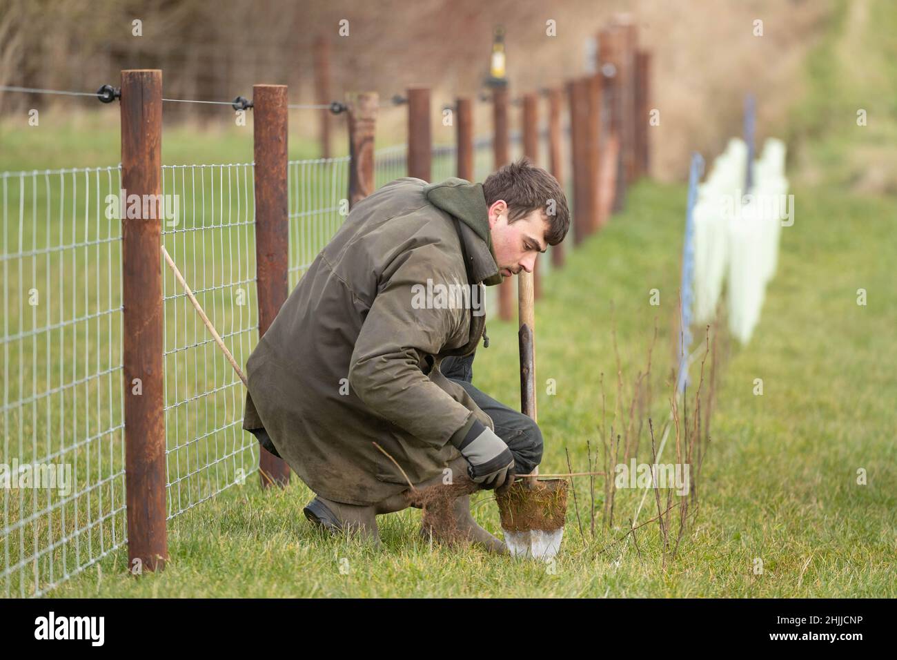Farmer planting tree uk hi-res stock photography and images - Alamy