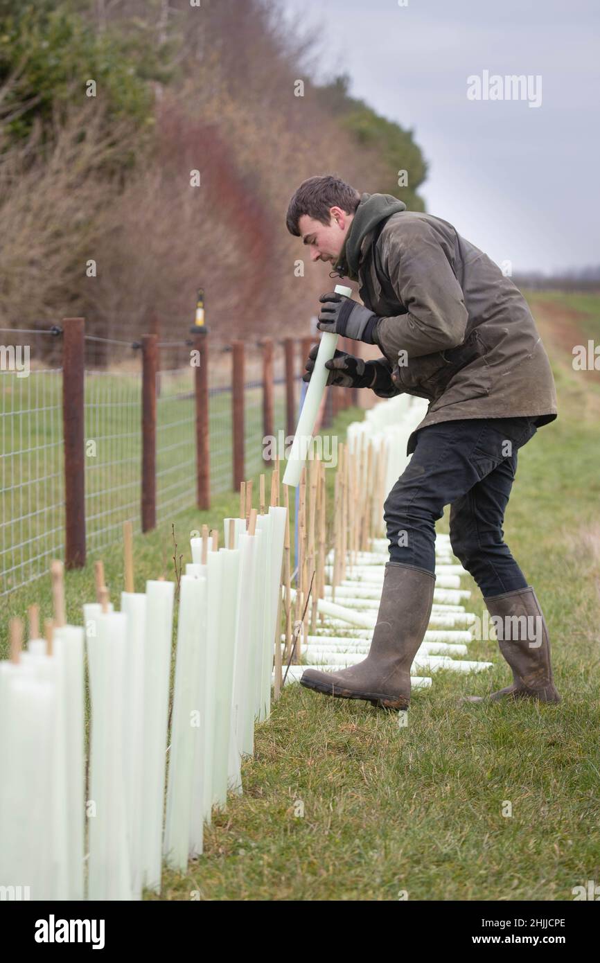 Farmer planting tree uk hi-res stock photography and images - Alamy