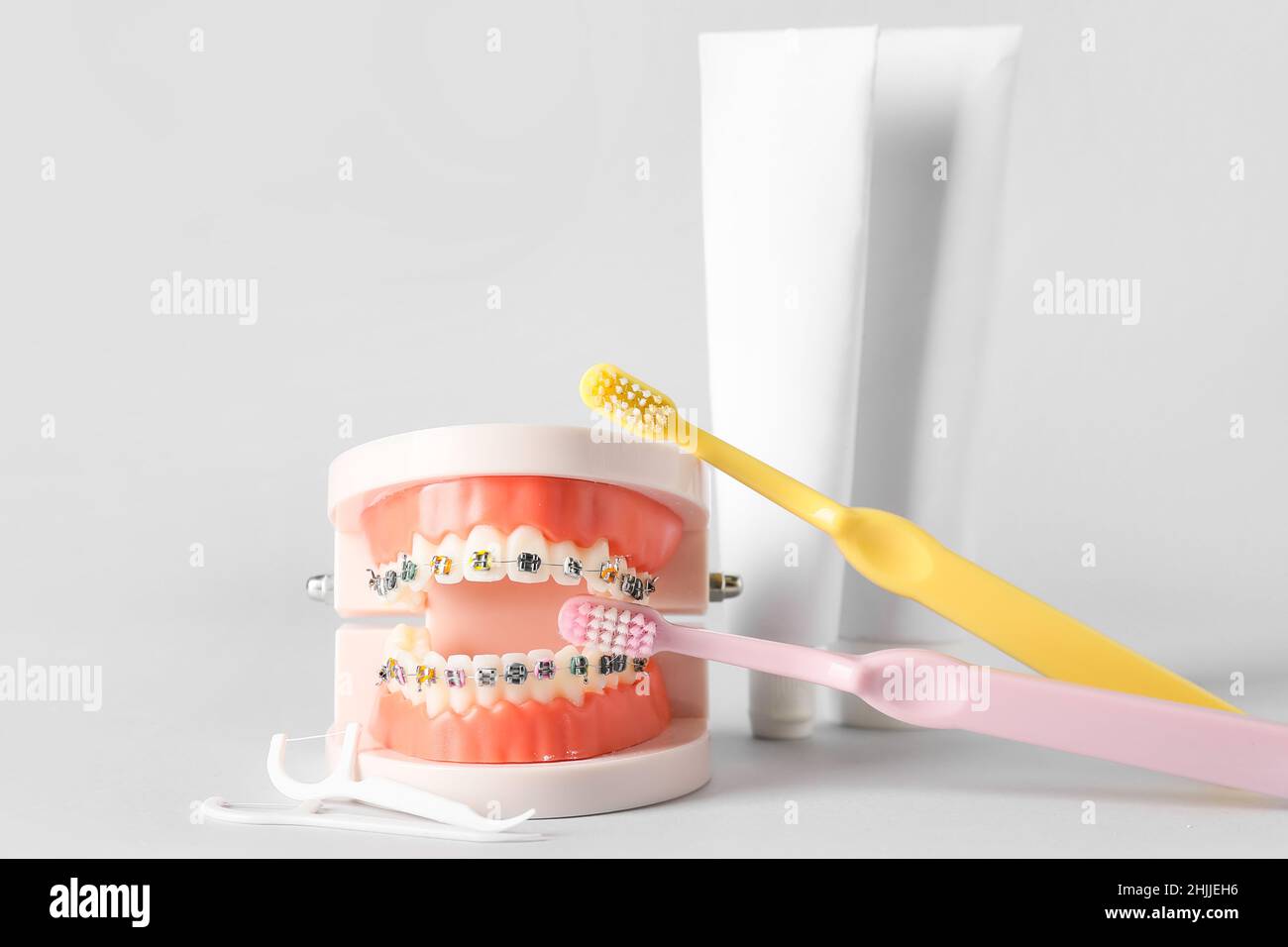 Model of jaw with braces, toothpicks, brushes and paste on white