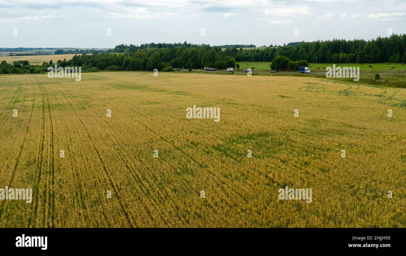 Country roads through farm fields in the countryside Stock Photo - Alamy