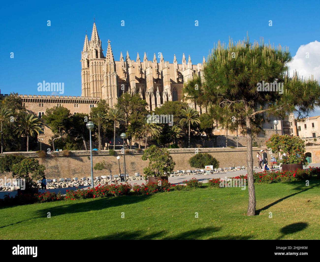 Palam mallorca hi-res stock photography and images - Alamy