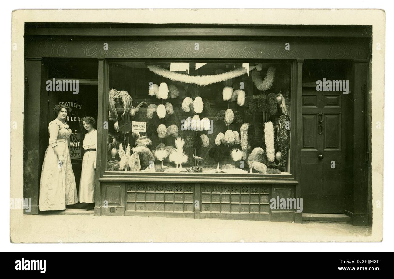 Original very clear, charming early 1900's Edwardian / Titanic era postcard of 2 female shop assistants / proprietors outside the shopfront of the Ostrich Feather Emporium. Local characters. A sign on the shop door says 'feathers curled while you wait', The shop sells ostrich feathers to adorn the elaborate large hats of fashionable ladies. Many ostrich feathers and a model ostrich shop fitting are displayed in the window. The fashion for hat feathers endangered some bird species and led to the setting up of the Royal Society for the Protection of Birds (RSPB) in Britain  - circa 1911, U.K. Stock Photo