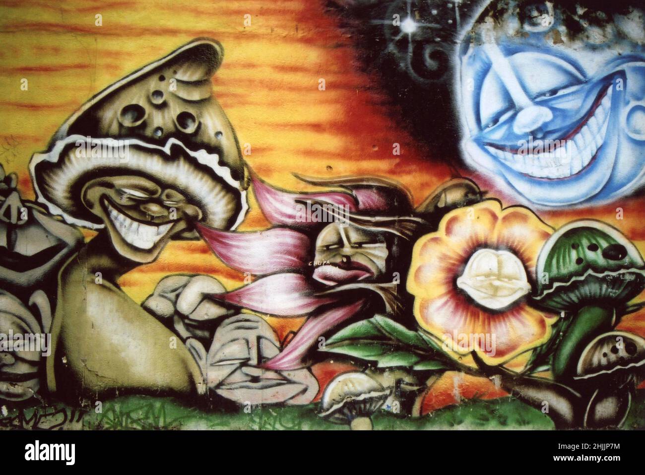 Trippy Mushroom Art, Rio, Brazil Stock Photo