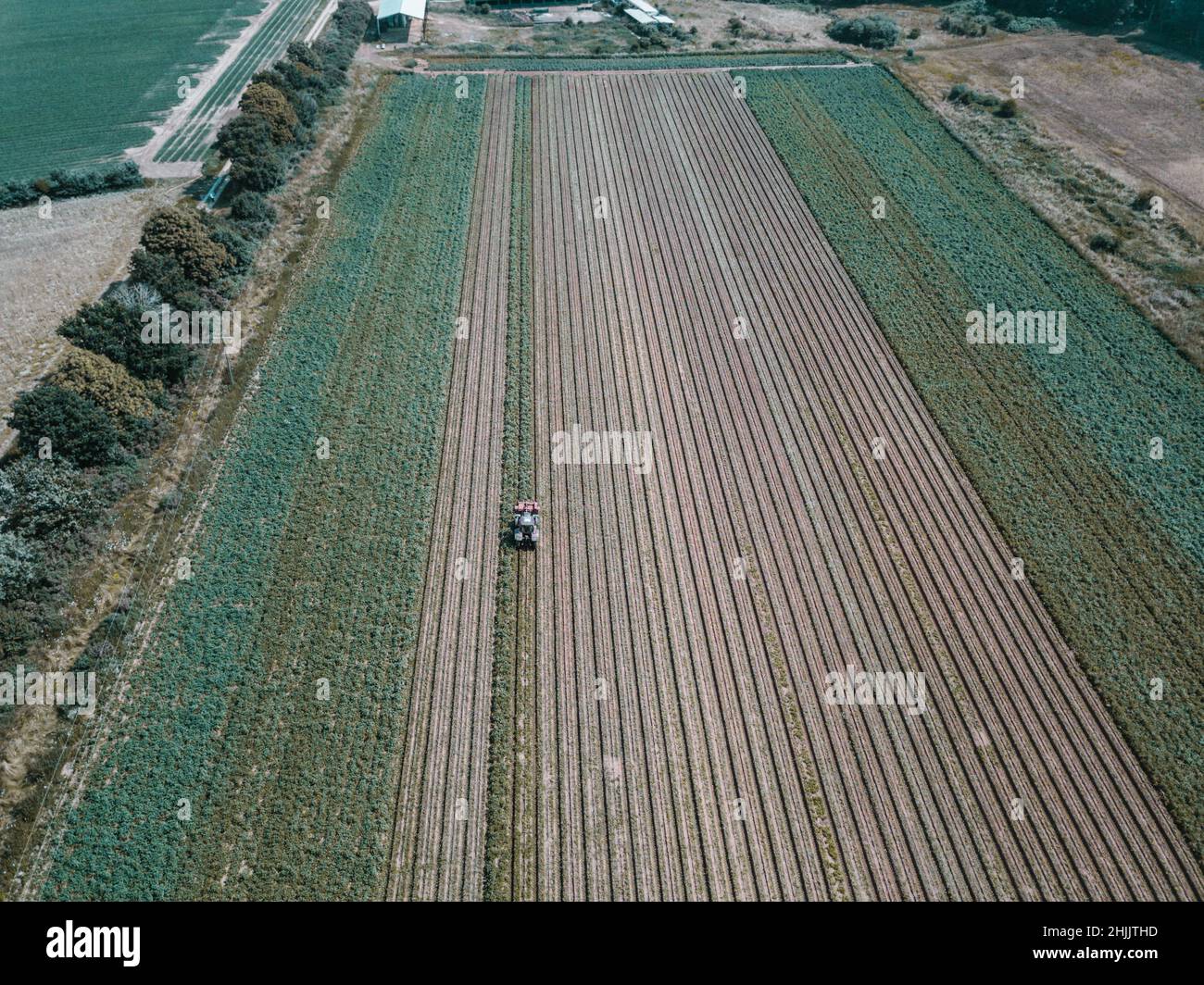 Aerial view of a tractor hilling potatoes with disc hiller in a potato