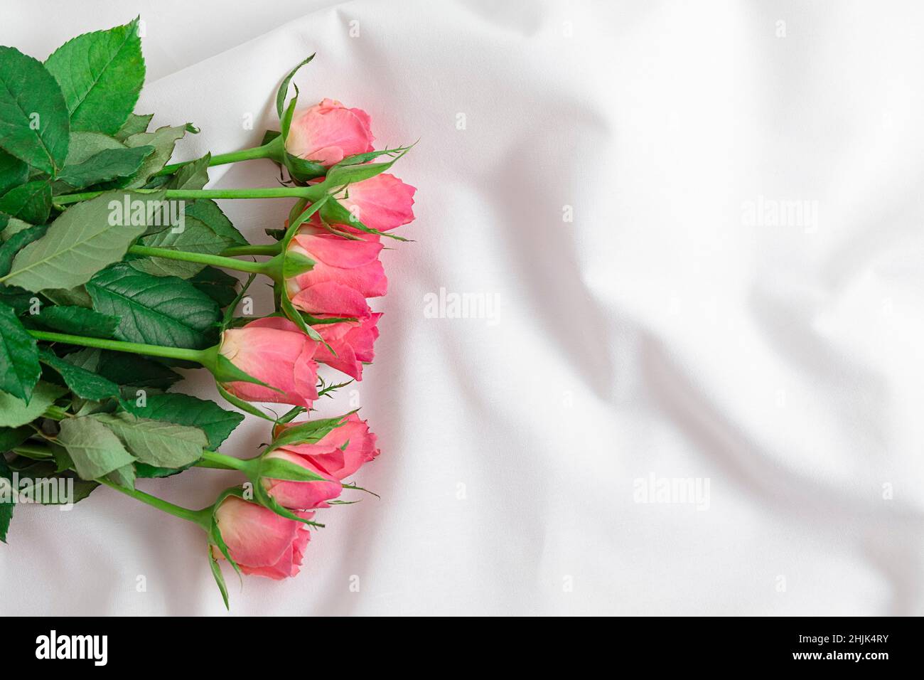 Pink rose with green leaves among the folds of a white textured textile. Roses on bed, romantic concept Stock Photo