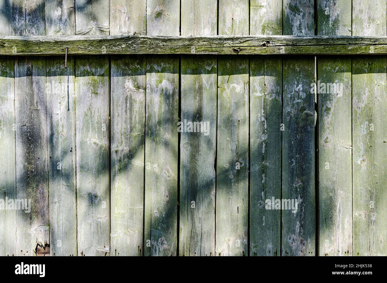 Old weathered rustic wooden texture background, a wall with tree shadows and natural pattern Stock Photo