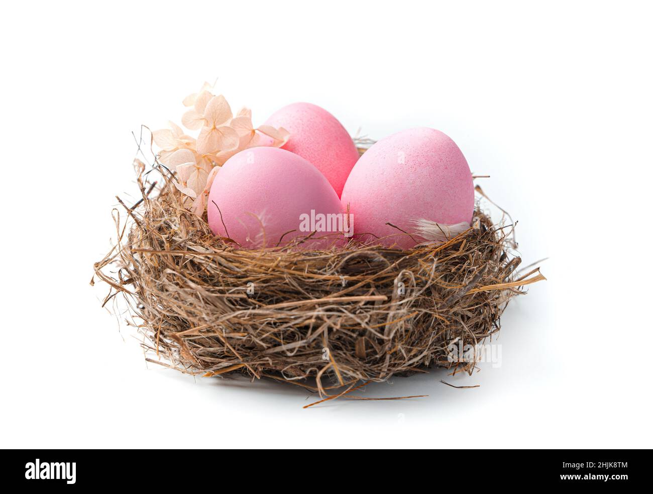 The nest with Easter pink eggs is isolated on a white background. Side view. Stock Photo