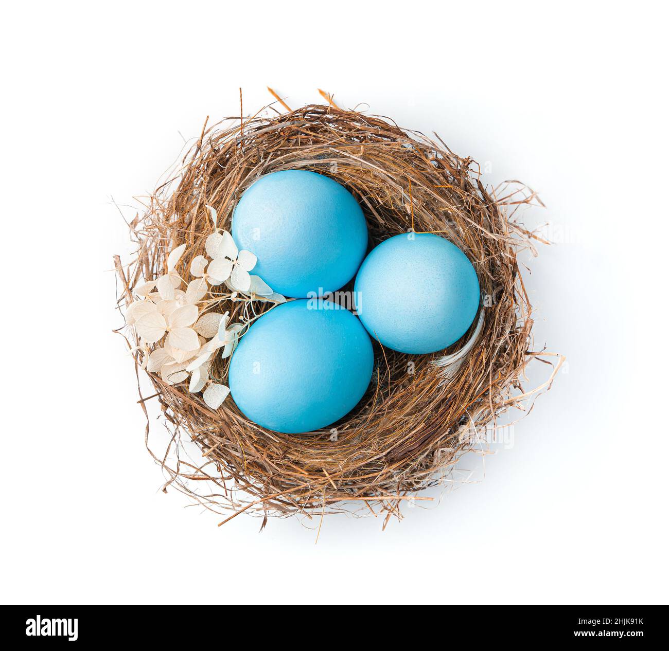 The nest with Easter pink eggs is isolated on a white background. Side view. Stock Photo