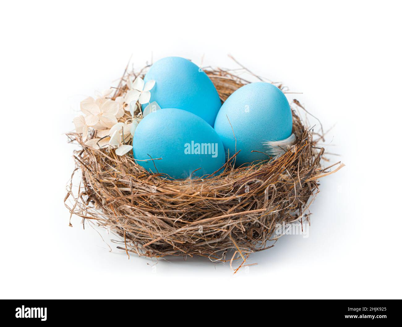 Easter nest with blue eggs and flower isolated on a white background. Easter eggs. Side view, close-up. Stock Photo