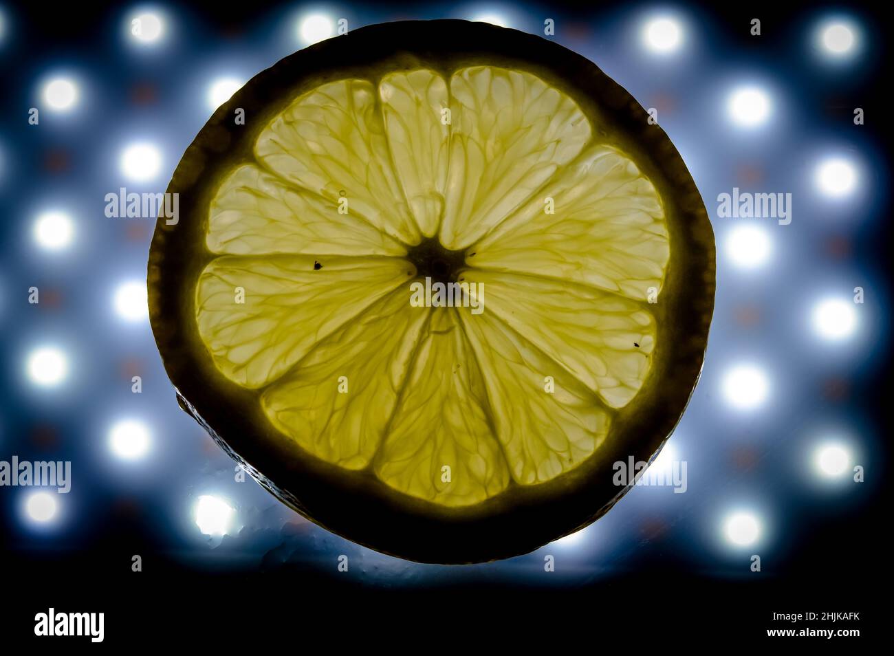 close-up view of a lemon slice backlit by led lights to show the ...
