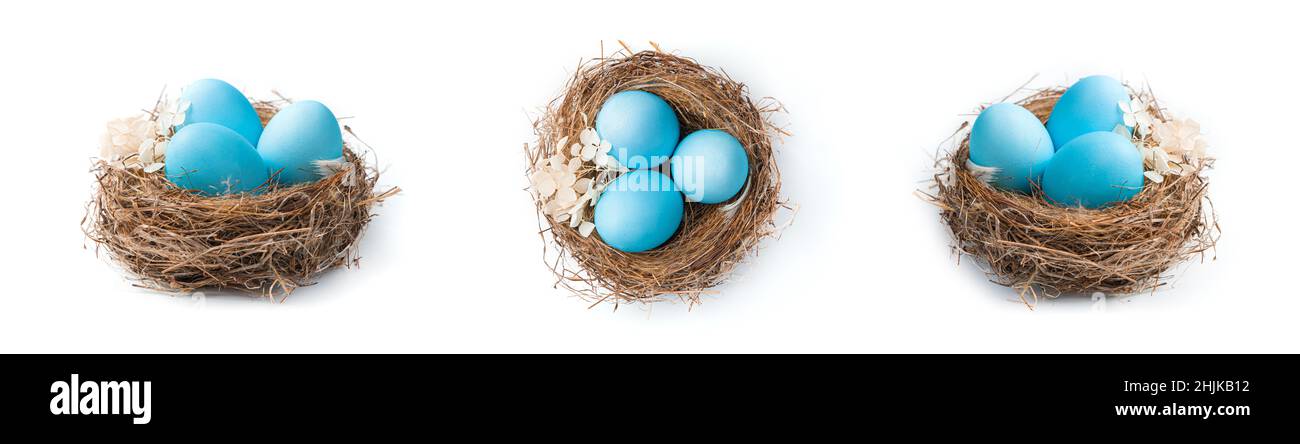 A set of nests with blue Easter eggs in different angles isolated on a white background. The concept of Easter. Stock Photo