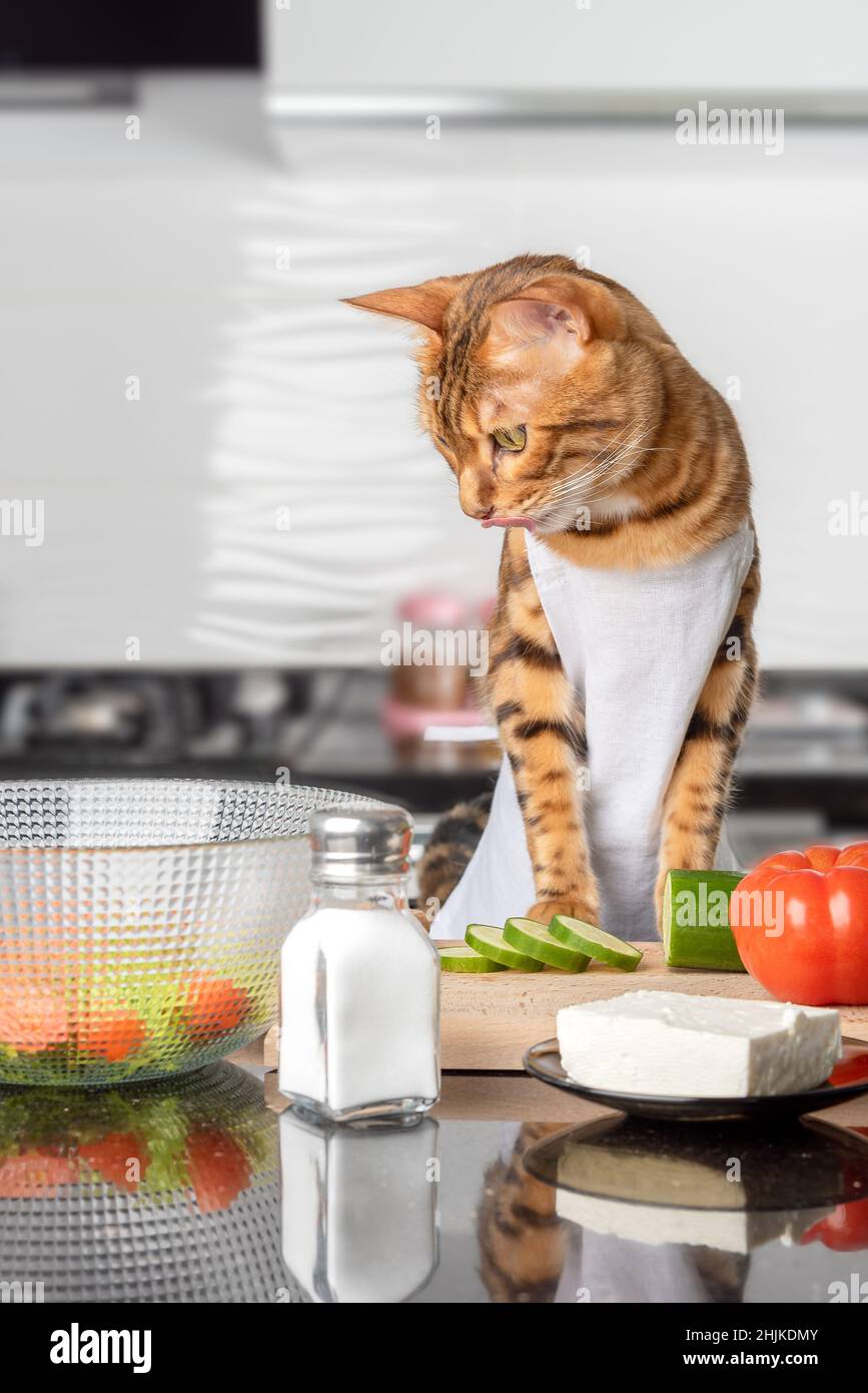 The cat licks his lips while looking at a bowl of salad. vertical shot Stock Photo