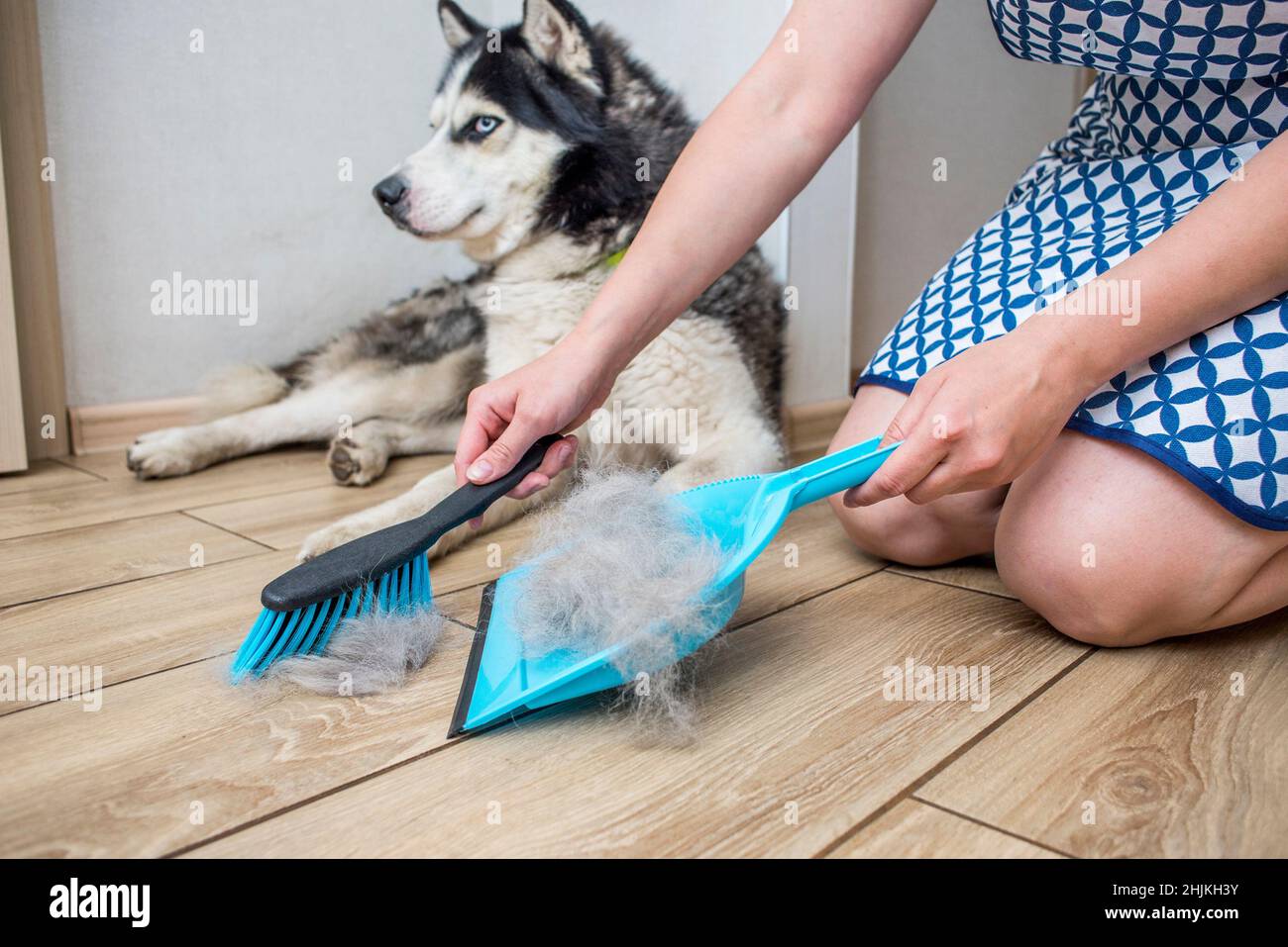 A woman removes dog hair after molting a dog with a dustpan and broom