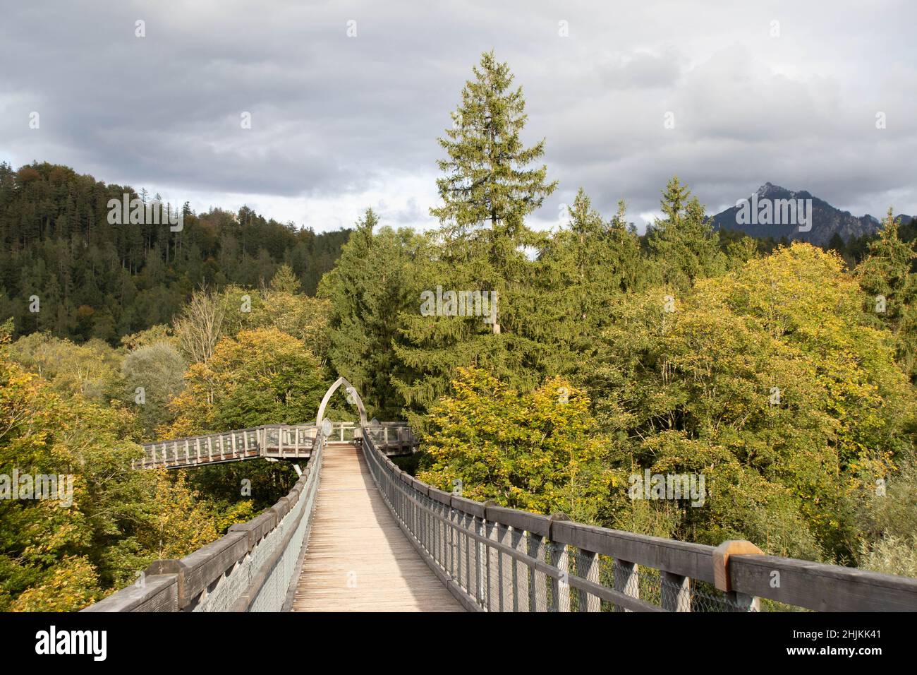 Der Baumkronenweg ist ein Pfad über Hängebrücken im Walderlebniszentrum Füssen-Ziegelwies. Er ist 480 Meter lang und in einer Höhe von 21 Metern. Stock Photo