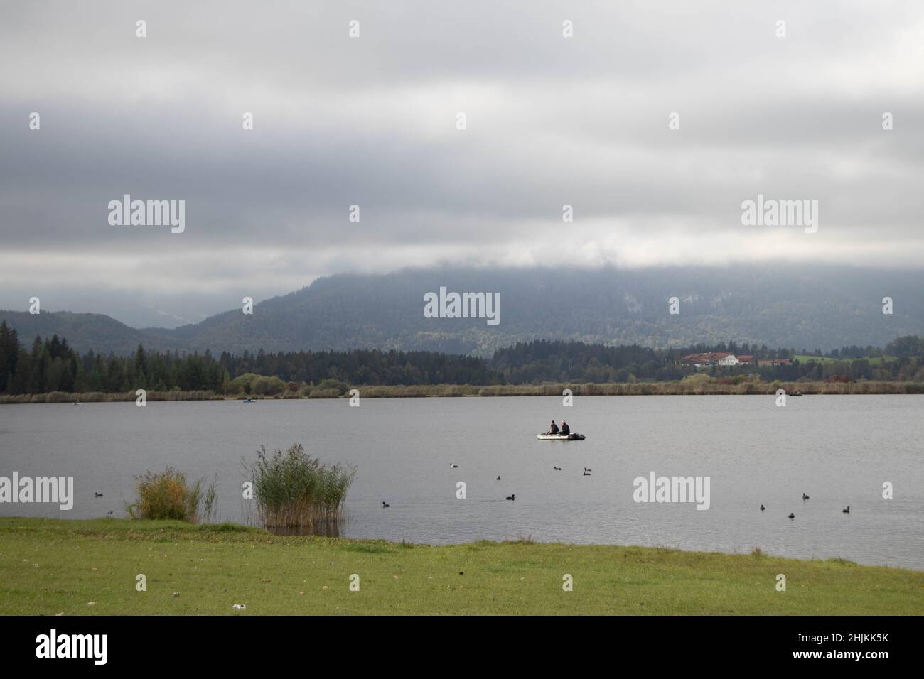 Zwei Angler sitzen auf einem Boot auf dem Hopfensee, um sie herum sind Enten und Bleßhühner auf dem See Stock Photo