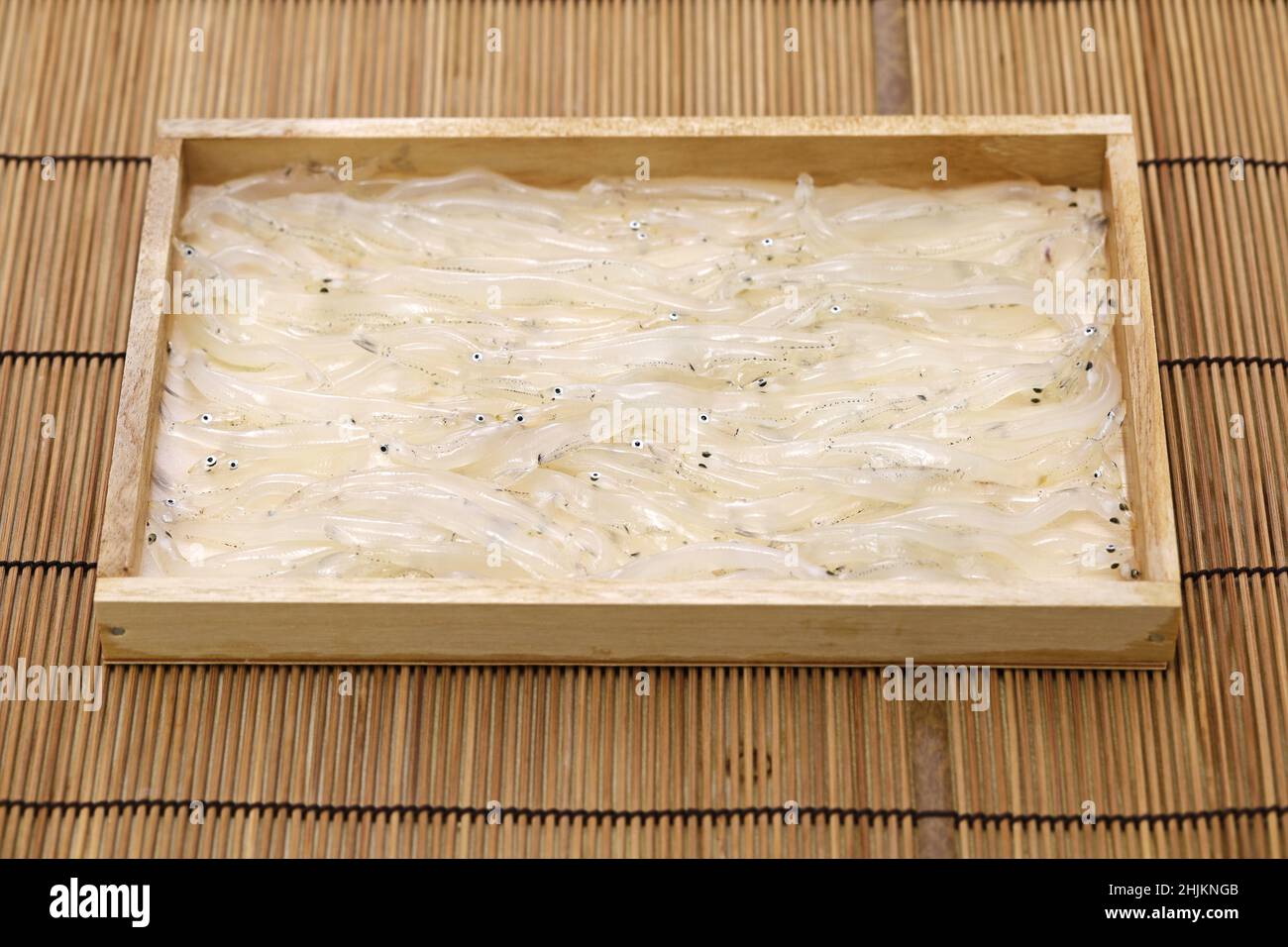 raw Shirauo (Japanese icefish) Stock Photo