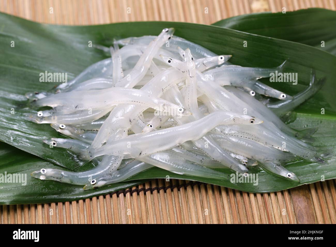 raw Shirauo (Japanese icefish) Stock Photo