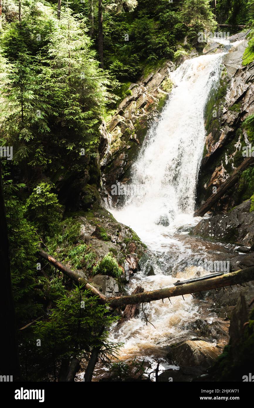 Bila strz waterfall on Bily creek in Sumava national park in beginning ...