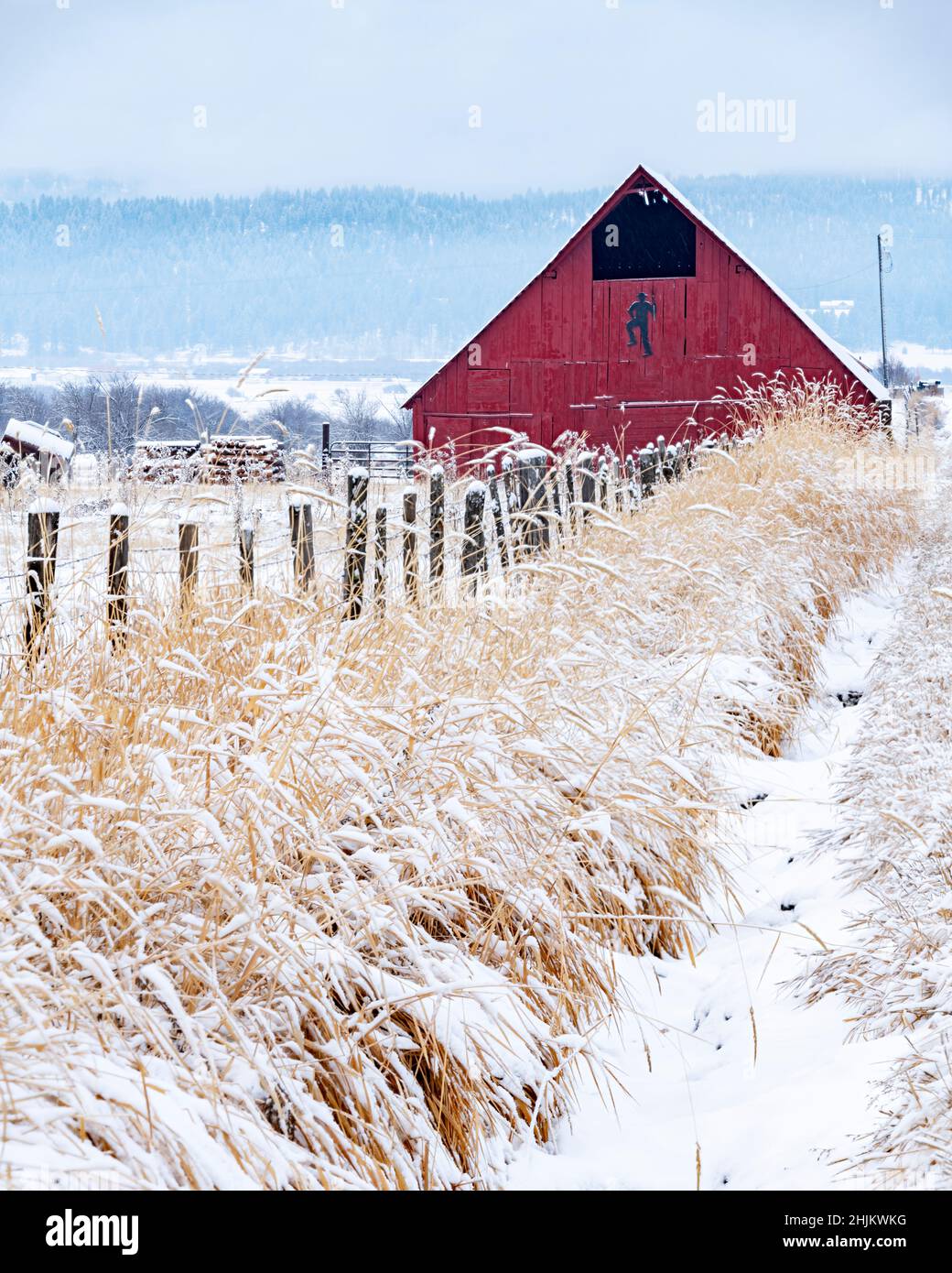 Beautiful winter farm with a red barn and snow along a fence Stock ...