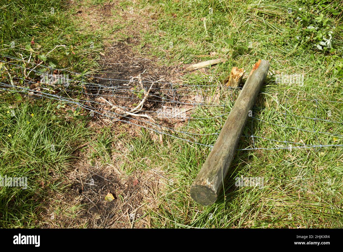 fence post and stock fencing damaged by walkers in rydal lake district, cumbria, england, uk Stock Photo