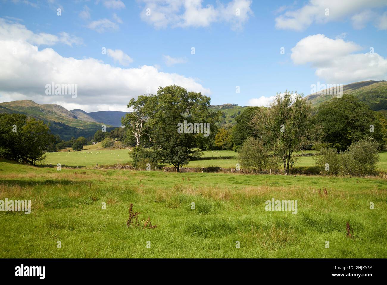 under loughrigg river rothay valley near ambleside lake district, cumbria, england, uk Stock Photo