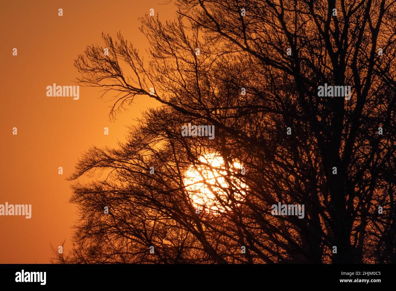 Sonnenuntergang im Winter Stock Photo
