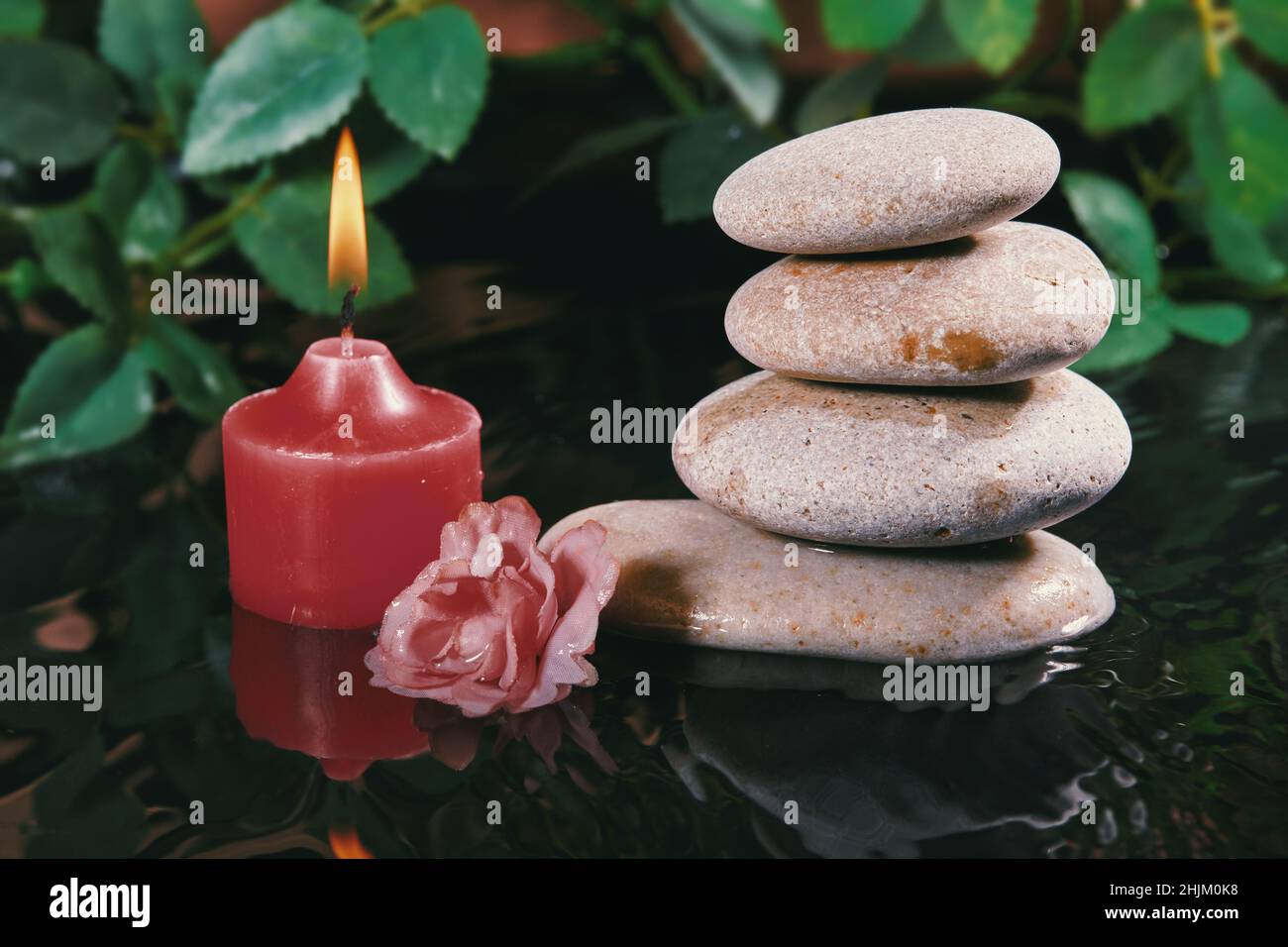 Still Life with Zen Stone, Candle and Plants in Water. Harmony, Relax and Health Care. Traditional Oriental Spa Concept Stock Photo