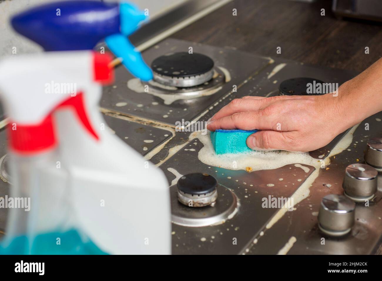 Man hand cleaning gas stove using sponge and detergents. Cleaning a gas