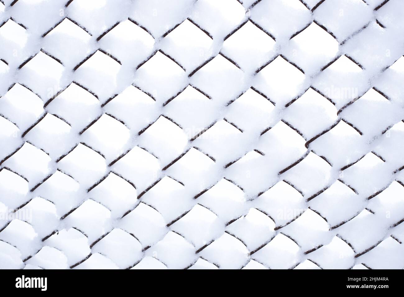 Winter background. The iron mesh netting is covered with snow. Stock Photo