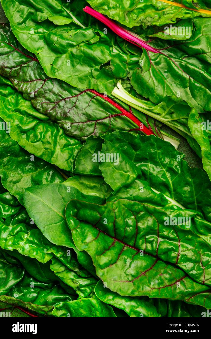 Rainbow swiss chard leaves on rusty background, raw green leaf