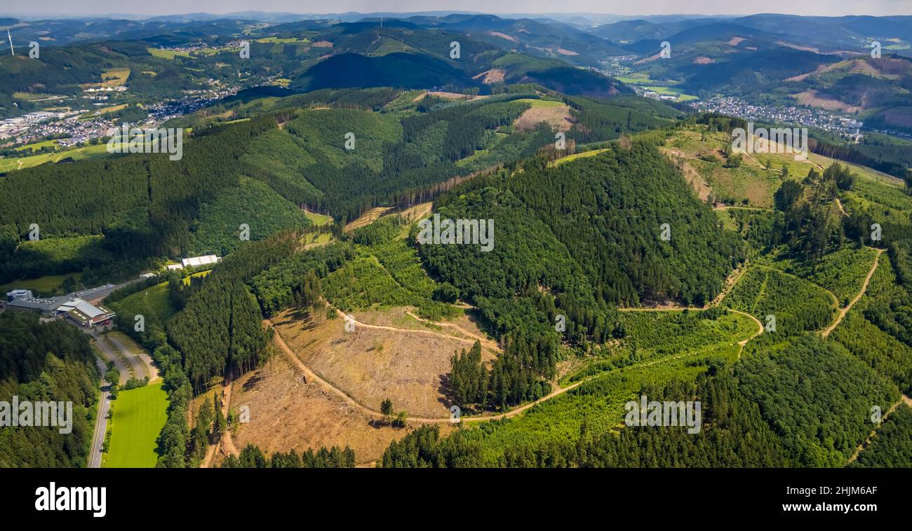 Aerial view, forest area with forest damage near Benolpe, Bilstein, Kirchhundem, Sauerland, North Rhine-Westphalia, Germany, tree death, bark beetle d Stock Photo
