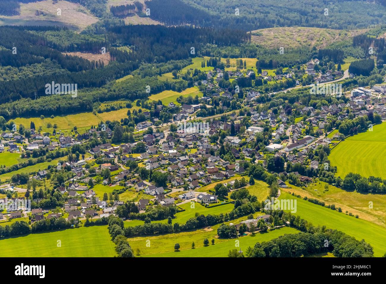 Aerial view, forest area with forest damage, local view Welschen-Ennest, Kirchhundem, Sauerland, North Rhine-Westphalia, Germany, tree dieback, bark b Stock Photo