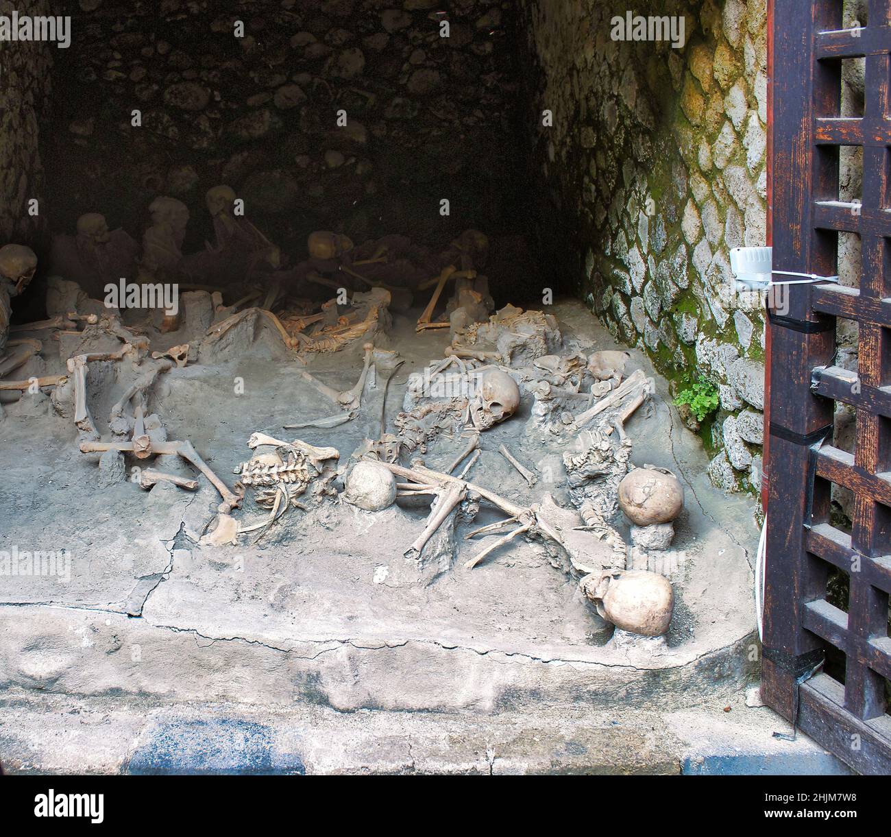 Remains of human skeletons victims of the eruption of Vesuvius that destroyed Pompeii and Herculaneum in 79AD Stock Photo